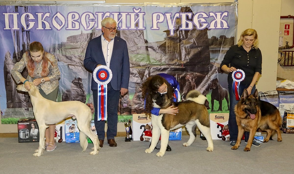 Национальная выставка собак всех пород Россия. Выставка собак всех пород в Москве 2023.